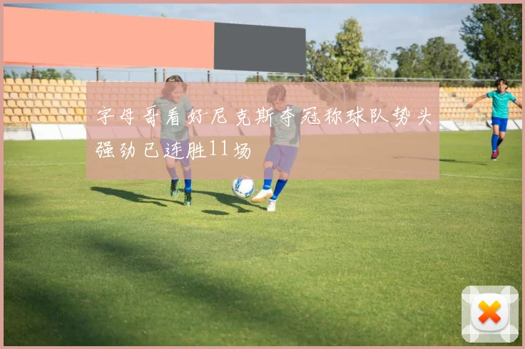 字母哥看好尼克斯夺冠称球队势头强劲已连胜11场