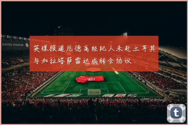 英媒报道厄德高经纪人未赴土耳其与加拉塔萨雷达成转会协议